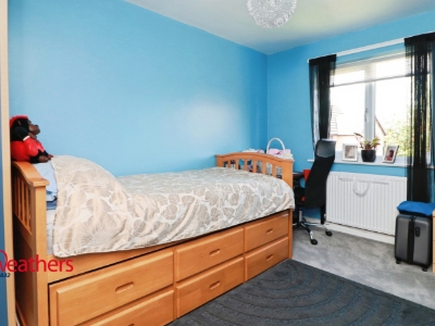 Picture 15